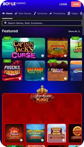 screenshot Boyle mobile application
